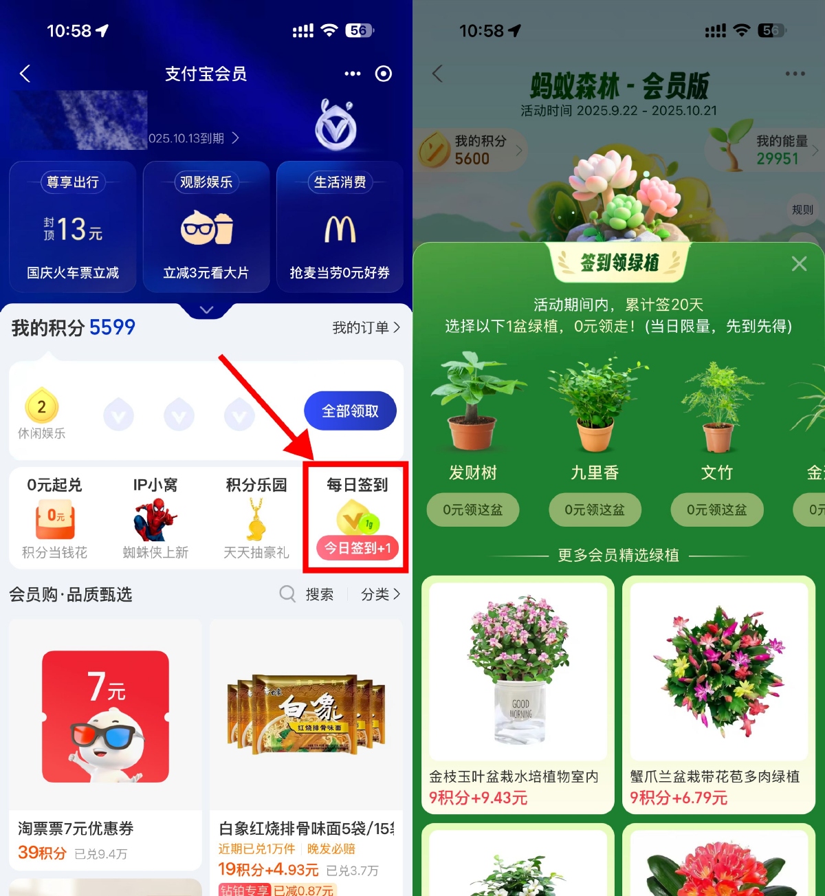 连续签到20天，支付宝蚂蚁森林领绿植