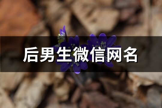 微信网名大全2020男生(微信网名经典男生大全)