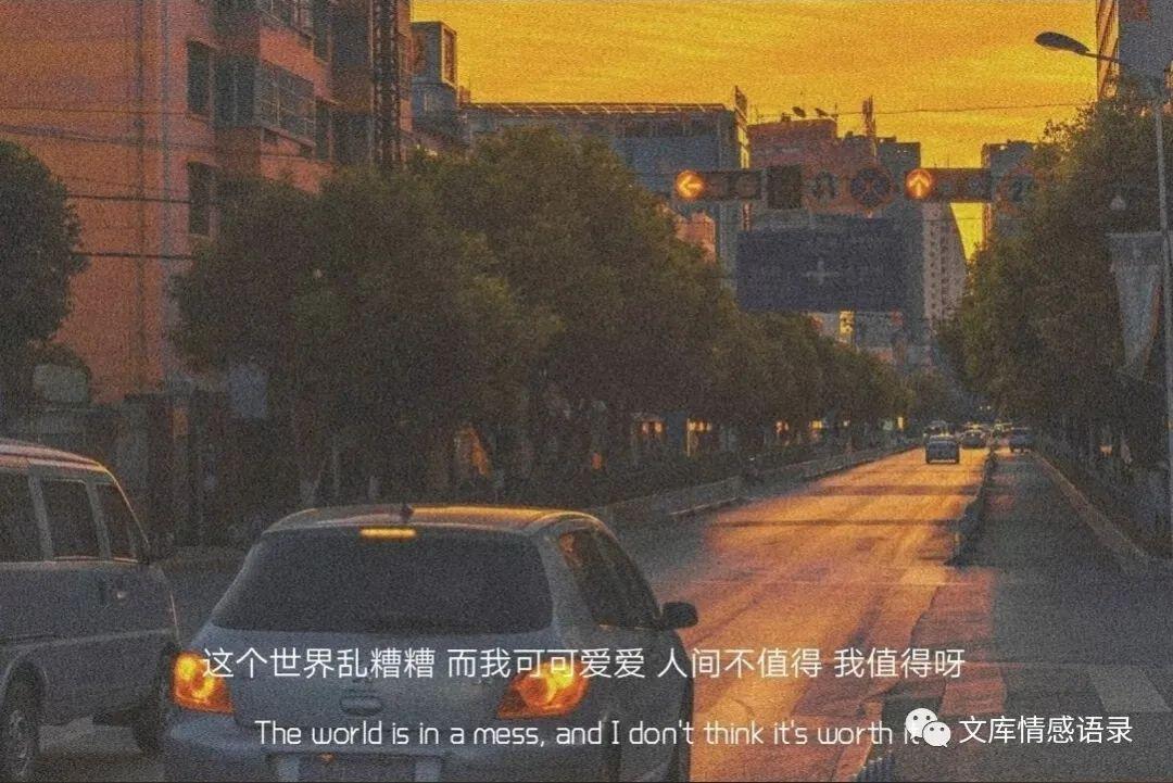 神仙治愈系文案句子伪装学霸(神仙治愈系文案句子)