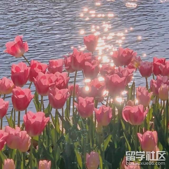 温暖治愈文案短句(10条温暖又治愈的文案)