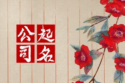 古风有诗意的名字(有什么好听的古风名字？)