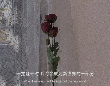 抖音文案短句干净治愈励志文案(抖音最火的文案_抖音经典文案大全)