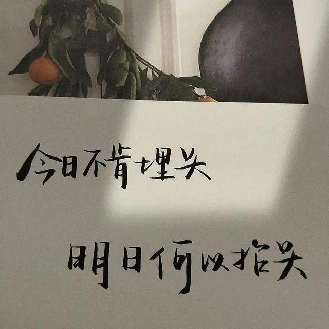 抖音热门励志文案正能量文案(抖音文案大合集——这些年你不容错过的文案全在这里)