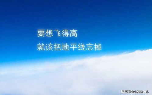 乐观心态的正能量句子(阳光文案短句干净治愈)