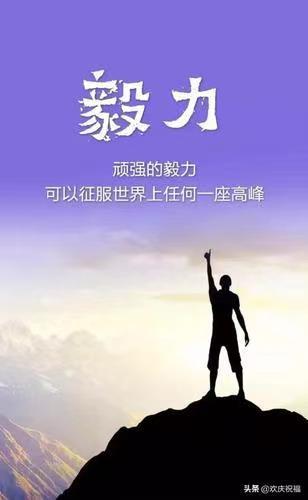 鸡汤文看多了的危害(看多了鸡汤，这些负能量文案让人神清气爽)