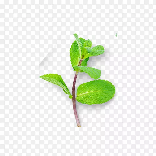 薄荷姐推荐3D第229期，调整心态认真争取突破-薄荷彩图