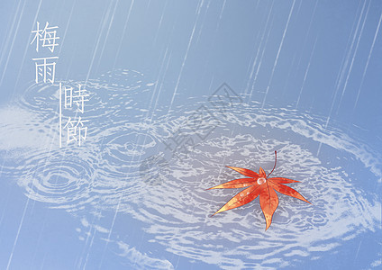 梅雨的天气现象(700字初中八年级写天气的作文范文:梅雨)