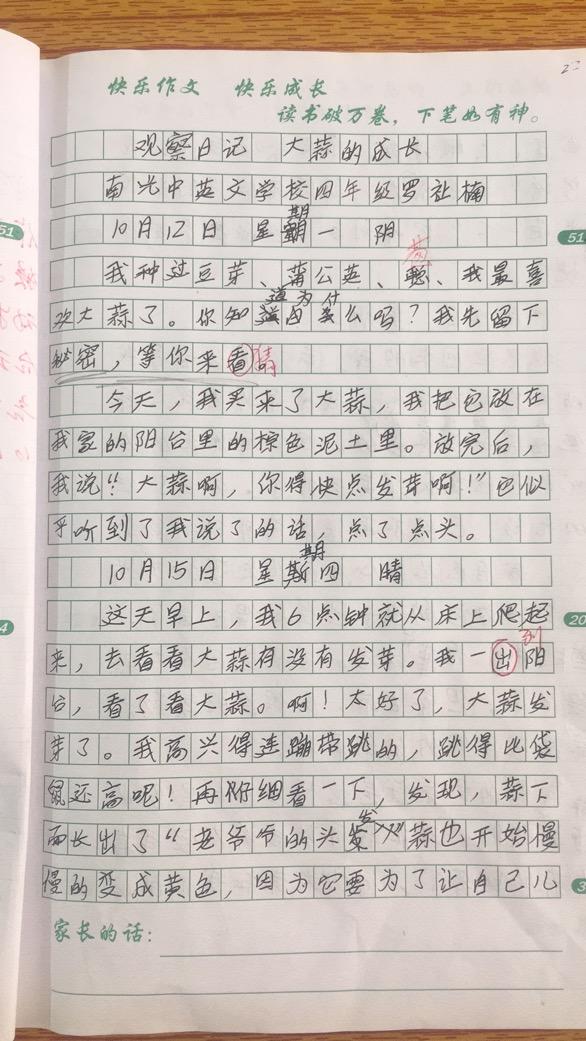 小学作文知识点总结大全_小学语文各年级作文知识点大全丨附各类作文范文